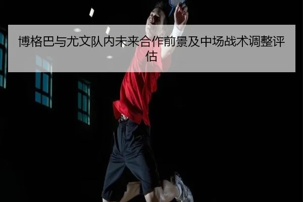 博格巴与尤文队内未来合作前景及中场战术调整评估 | mgsport